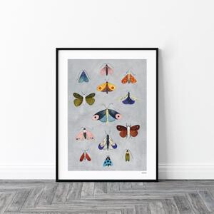 Dekorační plakát s motýly, P430 60x80 cm