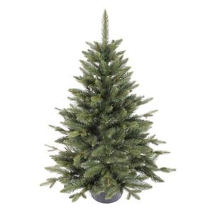 Prémiový vánoční stromeček smrk v květináči - 80 cm, POL__SWBWD80 L