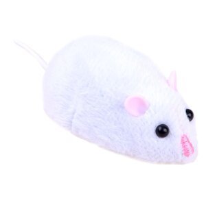 RC Myš bílá