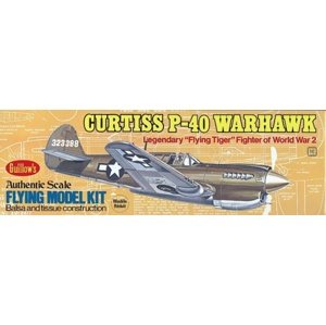 Curtiss P-40 Warhawk (419mm) Modely letadel IQ models