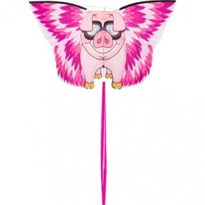 Invento drak Flying Floyd  IQ models