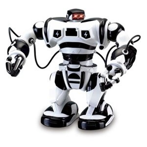 RC Robot ROBONE  IQ models