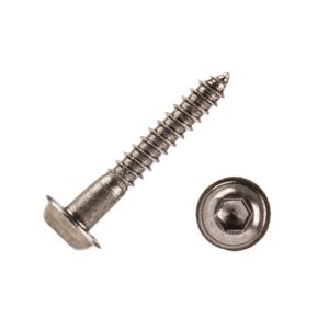 Servo šroub - Imbus 2x15mm (20ks) Doporučené příslušenství IQ models