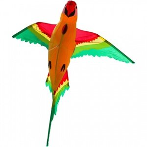 Invento drak Papoušek 3D Draci a ostatní IQ models
