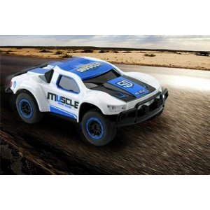 MUSCLE rally racing 1/43 bílomodrá  IQ models