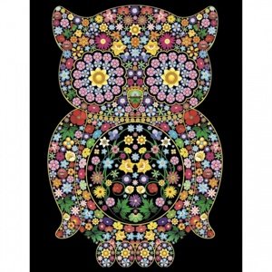 Colorvelvet Sametový obrázek Sova 47x35cm Obrazy vel. L IQ models