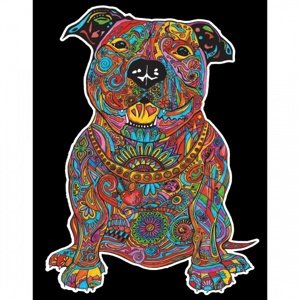 Colorvelvet Sametový obrázek Pitbull 21x29,7cm Obrazy vel. S IQ models