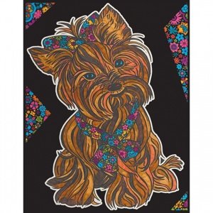 Colorvelvet Sametový obrázek Yorkshire 21x29,7cm Obrazy vel. S IQ models