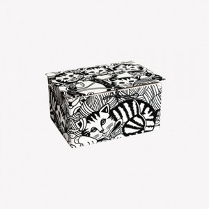 Colorvelvet Sametová omalovánka box Kočka Home IQ models