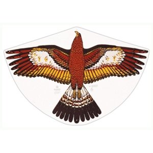 Günther drak Orel Zlatý 92x62 cm Draci pro děti IQ models