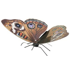Luxusní ocelová stavebnice Butterfly Buckeye Metal Earth IQ models