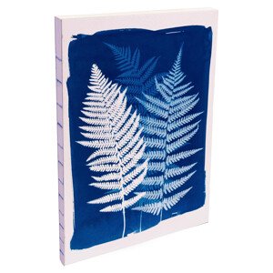 Zápisník Cyanotype, A5, 80 listů, linkovaný - kapradí