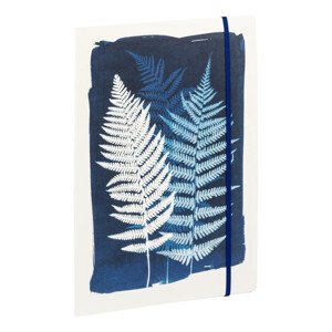 Spisové desky Cyanotype, 24x32 cm - kapradí