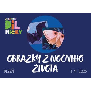 Noční obrázky - 1.11.2025, 15:00, Plzeň